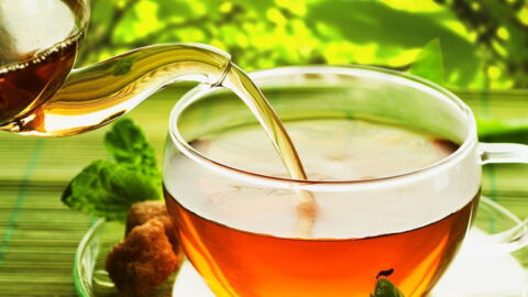 How Green Tea Can Help You Lose Weight