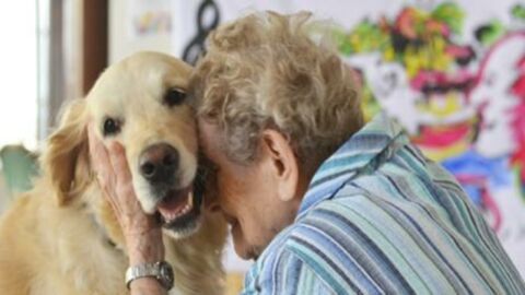 Elderly People Never Have To Be Separated From Their Beloved Pets Again, Thanks To This New Initiative