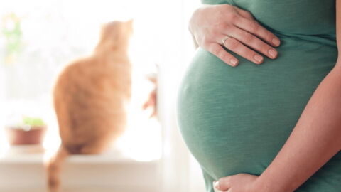 Toxoplasmosis During Pregnancy: Symptoms, Treatment, Foods To Avoid