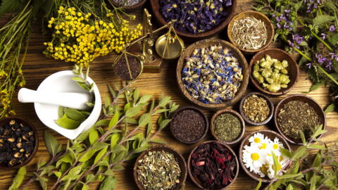 The Benefits Of Using Herbal Medicine
