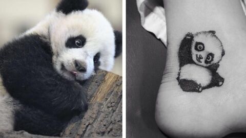Tattoo Ideas With Your Favourite Animals