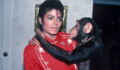 Years Later, This Is What Really Happened To Michael Jackson’s Pet Chimpanzee Bubbles