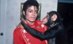 Years Later, This Is What Really Happened To Michael Jackson’s Pet Chimpanzee Bubbles