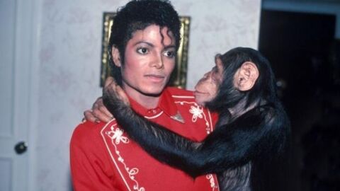 Years Later, This Is What Really Happened To Michael Jackson’s Pet Chimpanzee Bubbles