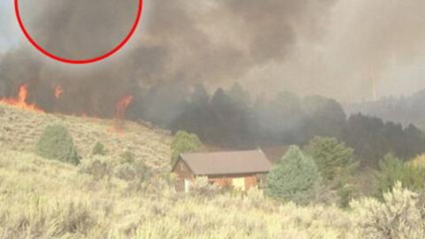 After Escaping A Fire, She Spotted Something Terrifying In The Air Above The Flames