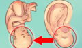 The Shape Of Your Ear Could Reveal Some Unknown Health Problems
