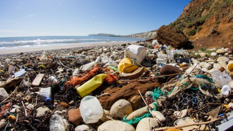 Using These 3 Plastic Products Will Be ILLEGAL In 2020