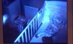 This Dad Saw Something Terrifying On The Baby Monitor