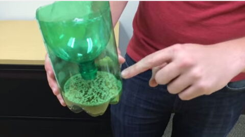 This Simple And Natural Method Is A Surefire Way To Get Rid Of Mosquitoes Fast