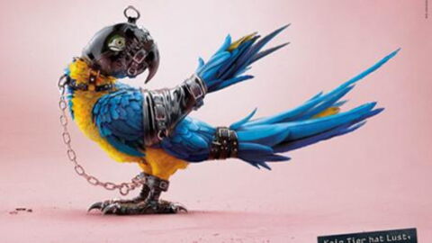 This Swiss Company Has Sparked Outrage After Dressing Animals In BDSM Outfits