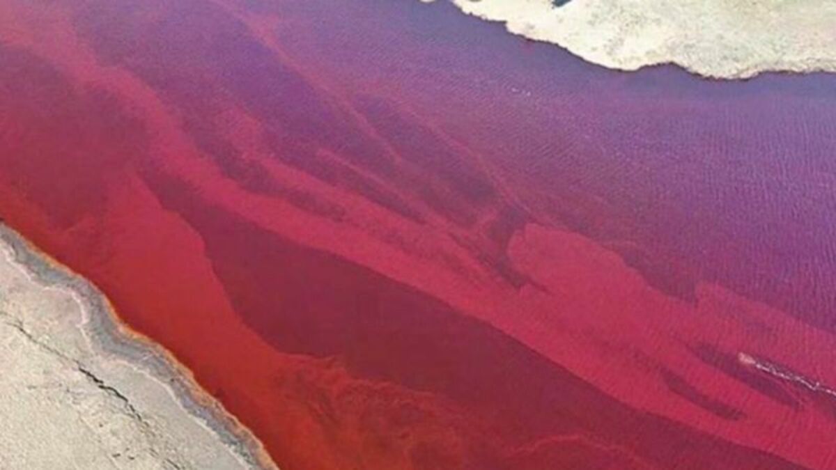 Check Out the ‘Shocking’ Images of This Polluted River That Recently ...