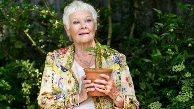 "I don't recognise anyone": how Judi Dench copes with losing her sight at 90