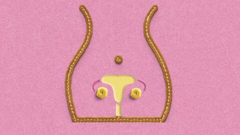 Sexual health: Does the size of the vagina matter during intercourse?