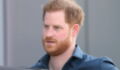 Did Prince Harry get plastic surgery? Latest public appearance raises questions