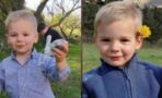 Missing French toddler: Police facing backlash over theory that Émile may have been taken by a bird