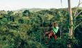 Man tragically dies after saving a woman stuck on a zipline