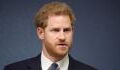 Prince Harry compares being a member of the Royal Family to living in a zoo