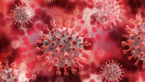 Indian variant to become second most dominant in the UK