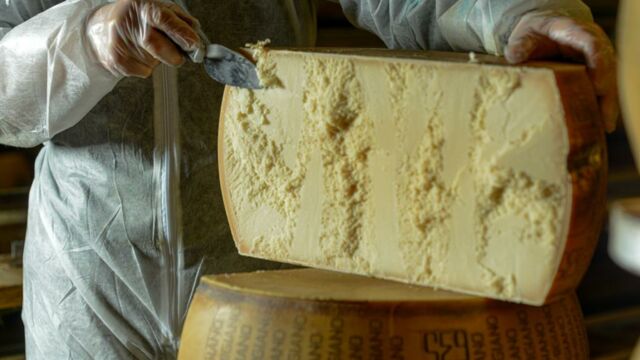 Is Parmesan Vegetarian? It's Complicated