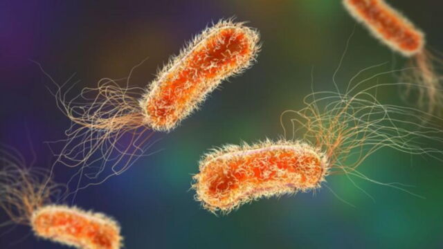 scientists warning health antibiotics disease