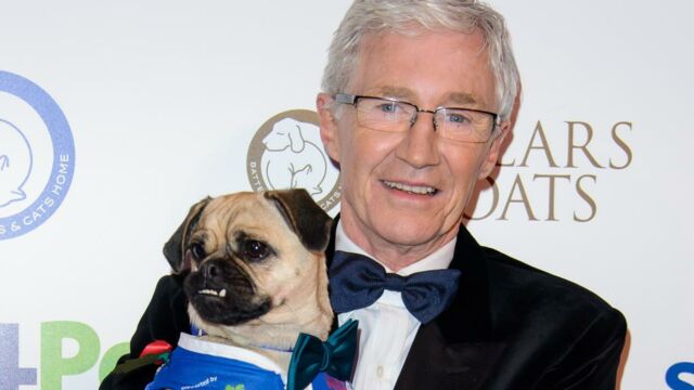 Paul O'Grady's For The Love of Dogs' remake in making and this is who could  present it