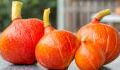The amazing anti-ageing properties of red kuri squash