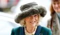 Queen Camilla hit by health issues once again as she is forced to cancel royal engagements