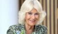 Queen Camilla's fortune before marrying King Charles, including a £500K inheritance