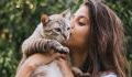 Do cats actually like to be kissed? Here's what they're really thinking