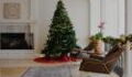 Christmas: Here is what to do with your tree after the holidays