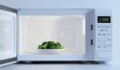 Microwave oven: Does food become less healthy when microwaved?