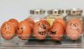 This is why you should never store your eggs in the fridge door