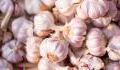 The unexpected benefit of garlic on your health