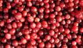 5 health benefits of eating cranberries daily