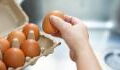 Never wash your eggs before cooking due to this serious health hazard