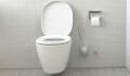 This common toilet habit could seriously be damaging your health