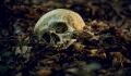 Skeletal remains of a 'vampire' woman from the 17th century discovered (PHOTO)