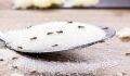 Here's how you can get rid of ant infestation with household items