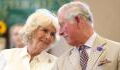 Queen Camilla's relative once had an affair with a King, and he's related to Charles III