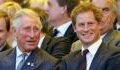 Prince Harry could 'damage' Prince Charles' future as King, source says