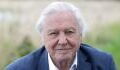 David Attenborough to receive second Knighthood