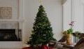 Have a real Christmas tree? Beware of this ‘clump’ that must be removed immediately