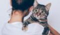 Two-thirds of people would rather spend time with their cat than their friends