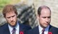 Prince Harry and William: ‘The trust is gone’ between the brothers, claims a royal source