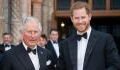 Prince Harry's memoir could unintentionally reveal unknown secrets about 'mysterious' Royal Family