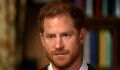 Prince Harry accused of tainting the memory of Princess Diana with his memoir