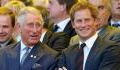 Prince Harry: The truth revealed about whether he really said King Charles 'never hugged him'