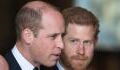 Fact-checking: Is Prince William really encouraging Harry to move back to the UK?