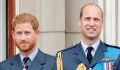 Here's everything you need to know about Prince Harry's and Prince William's relationship