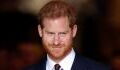 Prince Harry's latest video presenting military award raises questions about missing Coronation medal